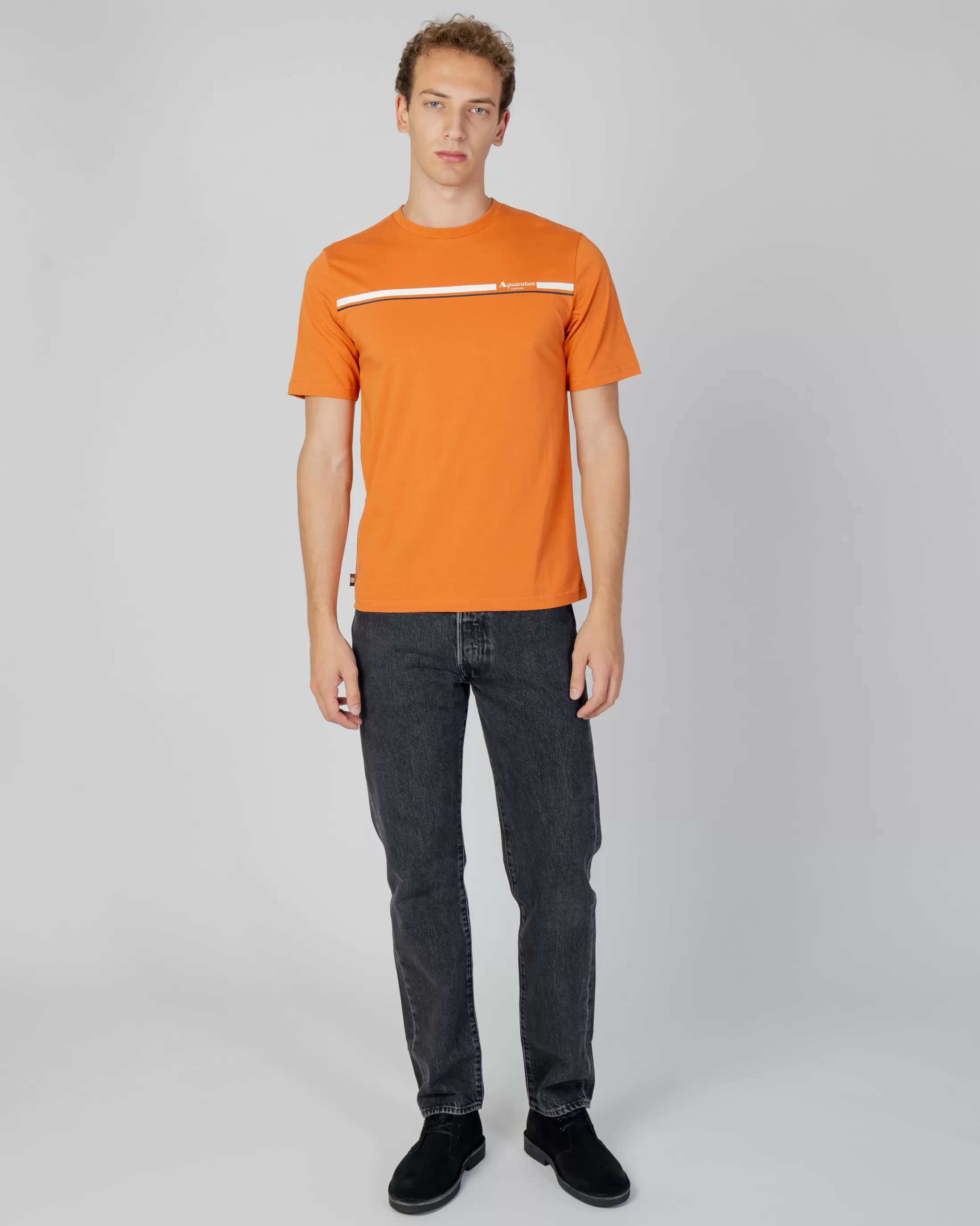 Aquascutum Active T-Shirts | Active Stripes